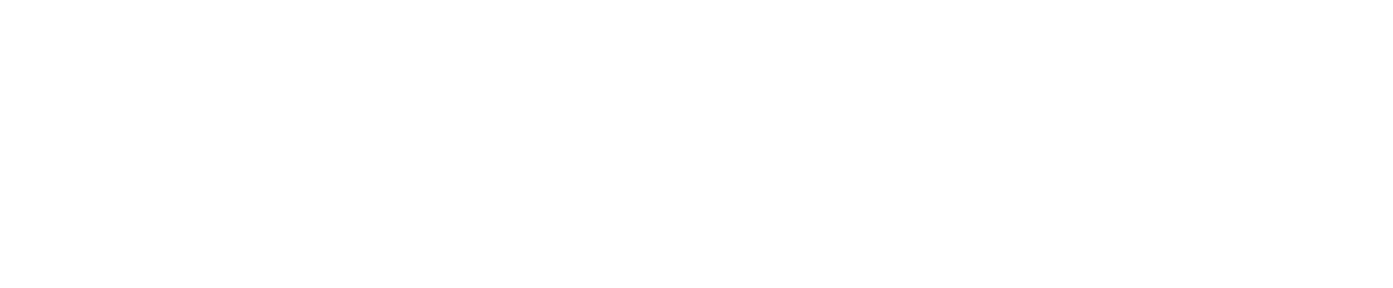 Logo Vanessa Personal Chef